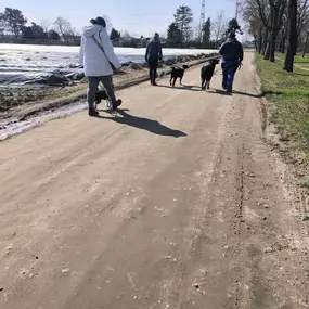 Bild von Hundeschule Stormydogs