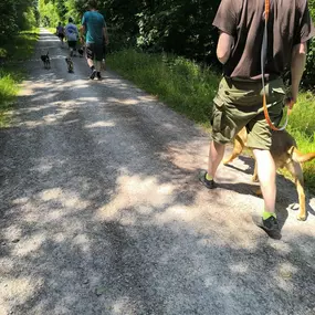 Bild von Hundeschule Stormydogs