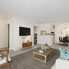 Living Room And Dining