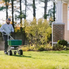 Aeration & Overseeding