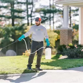 Lawn Insect Control