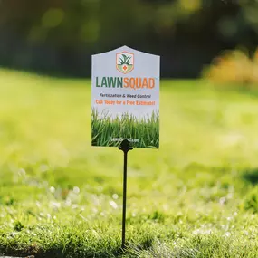 Lawn Surface Insect Control