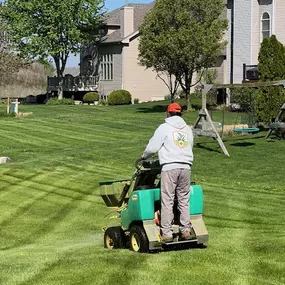 Bild von Lawn Squad of Aurora