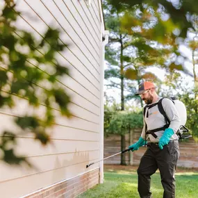 Bild von Lawn Squad of Aurora