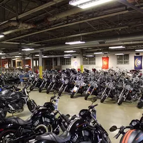 This image captures the vast showroom of Mike's Famous Harley-Davidson, filled with an extensive lineup of motorcycles neatly arranged in rows. The collection includes a variety of Harley-Davidson models, along with a few other bikes, showcasing the dealership's wide selection.

The industrial-style ceiling with exposed pipes and bright fluorescent lighting adds a functional and spacious feel to the room. Flags of various military branches hang on the back wall, creating a patriotic atmosphere a