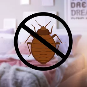 Bed Bug Extermination for Hotels and Hospitality