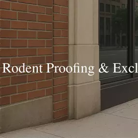 NYC Rodent Proofing & Exclusion for All 5 Boroughs