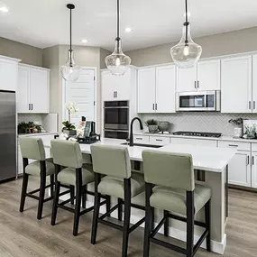 Bild von The Preserve at Asante by Richmond American Homes