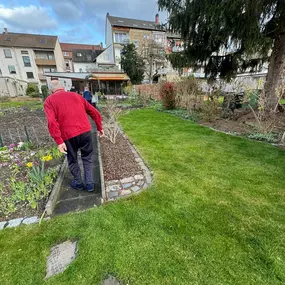 Bild von Grüne Quadrate GmbH Gartenbau Pflasterbau