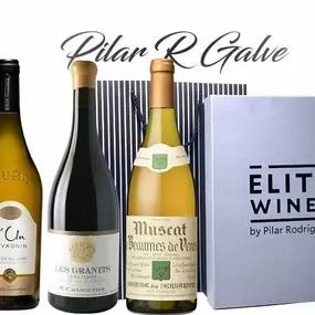 Bild von Elite Wines by Pilar Rodríguez