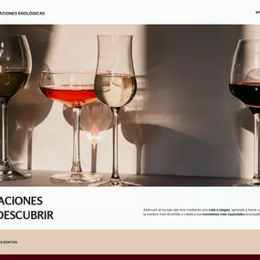 Bild von Elite Wines by Pilar Rodríguez