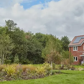 Bild von Ashberry Homes - Ashberry at Forster Park