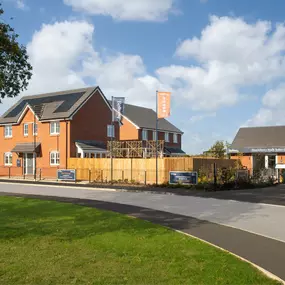 Bild von Bellway - Blackthorn Walk