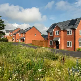 Bild von Bellway - Ashlands