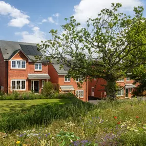 Bild von Bellway - Ashlands