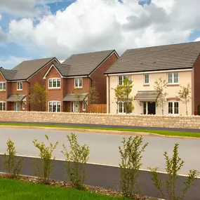 Bild von Bellway - Forest Walk