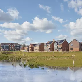 Bild von Bellway - Radley Reach