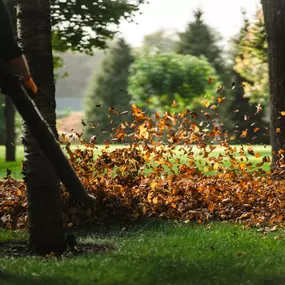 Bild von FLINK Service | Haus & Garten