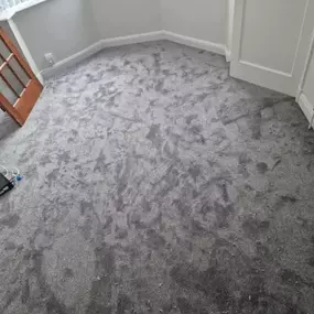 Bild von Quality Carpet Fitting