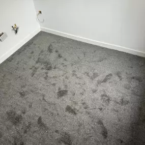 Bild von Quality Carpet Fitting