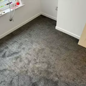 Bild von Quality Carpet Fitting