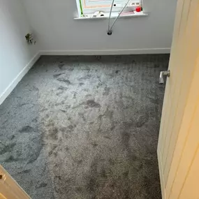 Bild von Quality Carpet Fitting