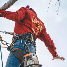 Bild von Complete Lawn and Tree Care by Saenz & Co.