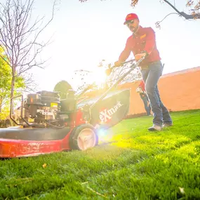 Bild von Complete Lawn and Tree Care by Saenz & Co.