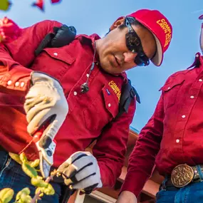 Bild von Complete Lawn and Tree Care by Saenz & Co.