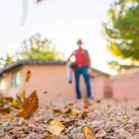Bild von Complete Lawn and Tree Care by Saenz & Co.
