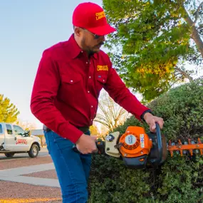 Bild von Complete Lawn and Tree Care by Saenz & Co.