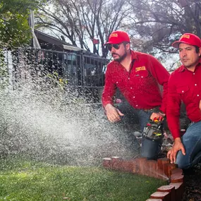 Bild von Complete Lawn and Tree Care by Saenz & Co.