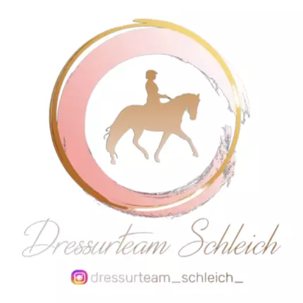 Logotyp från Dressurteam Schleich