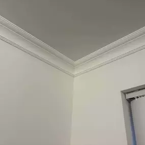 Bild von CL Creations & Maintenance Ltd