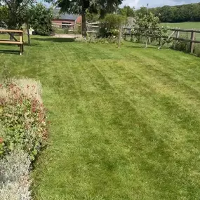 Bild von CL Creations & Maintenance Ltd