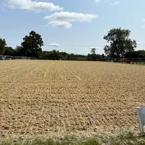 Bild von CL Creations & Maintenance Ltd