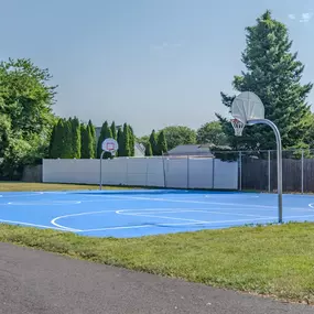 Basketball Court