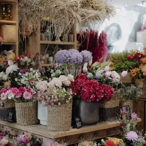 Bild von Blumenladen Rosenheim - Blumen Fritz