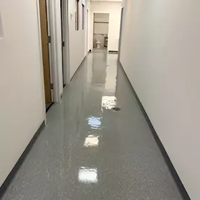 Bild von Dynasty Cleaning & Building Services
