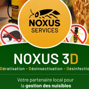 Bild von Noxus-services