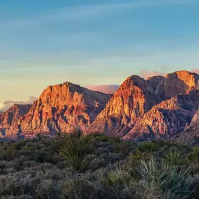 Hike or bike through Red Rock Canyon National Conservation Area