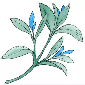Bild von Blue Sage Massage