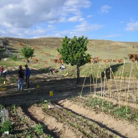 MI HUERTO EN TRES CANTOS 224763417_0001_20170523(1).jpg