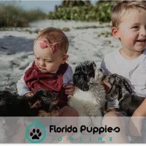 Dogs With Kids on Beach