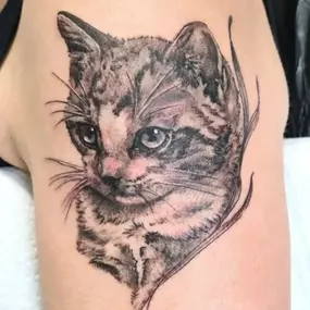 Bild von Bavariastich - Das Tattoostudio in Rosenheim