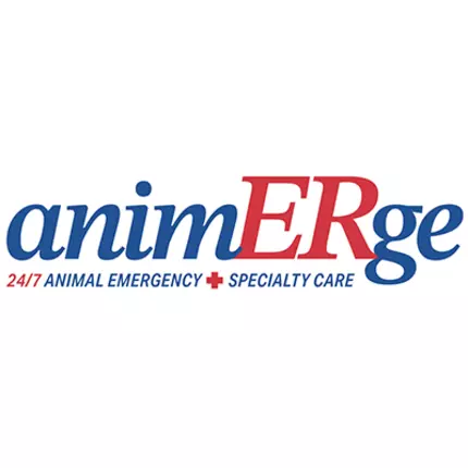 Logo from AnimERge