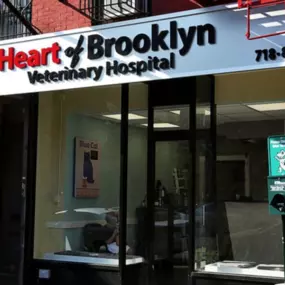 Bild von Heart of Brooklyn Veterinary Hospital Flatbush