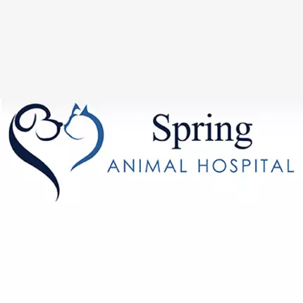 Logo da Spring Animal Hospital