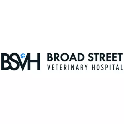 Logo from Broad Street Veterinary Hospital