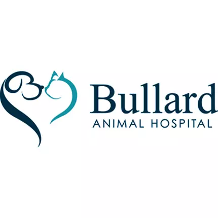 Logo from Bullard Animal Hospital